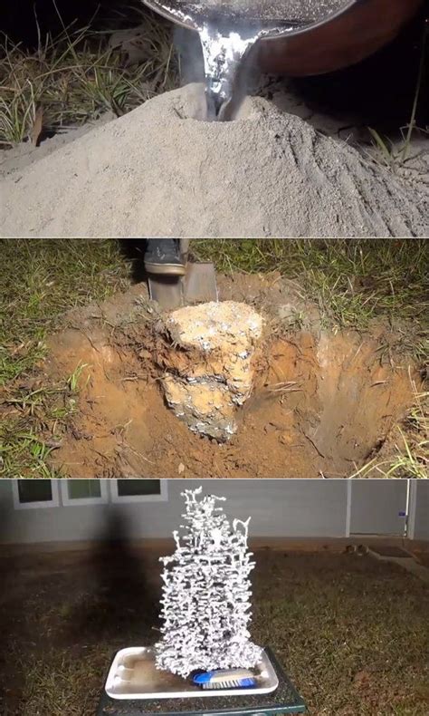 melting metal in ant nest